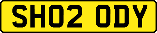 SH02ODY