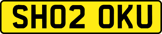 SH02OKU
