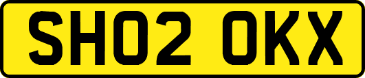 SH02OKX