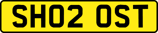 SH02OST