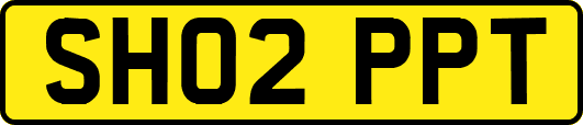 SH02PPT