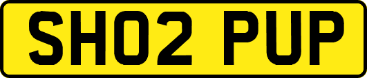 SH02PUP