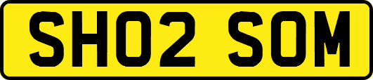 SH02SOM