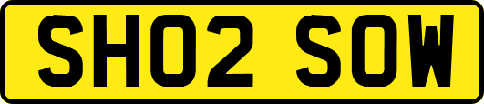 SH02SOW
