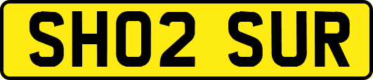 SH02SUR