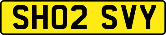 SH02SVY