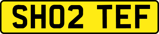 SH02TEF