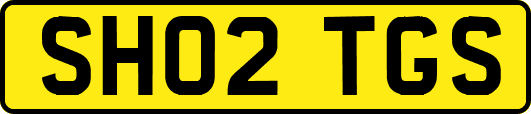 SH02TGS