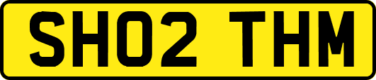 SH02THM