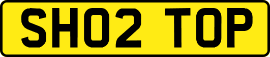 SH02TOP