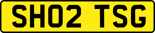 SH02TSG