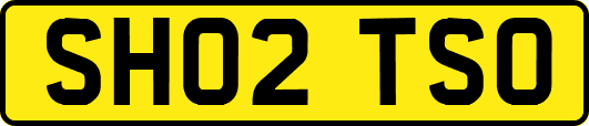 SH02TSO