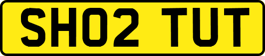 SH02TUT