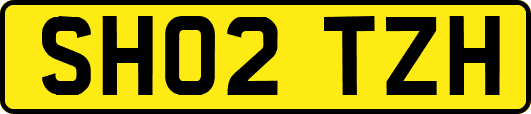 SH02TZH
