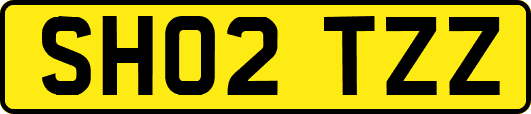 SH02TZZ