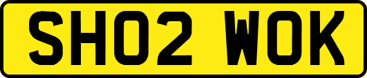 SH02WOK