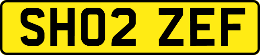 SH02ZEF