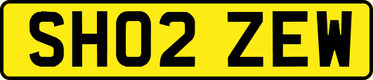 SH02ZEW