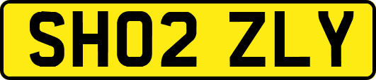 SH02ZLY