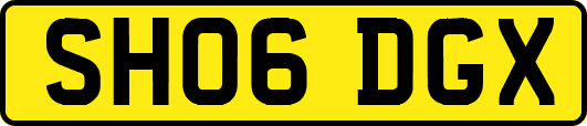SH06DGX