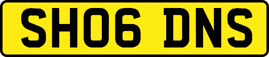 SH06DNS