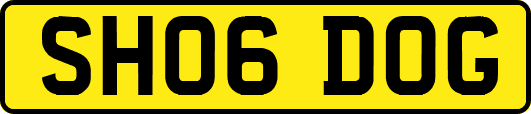 SH06DOG