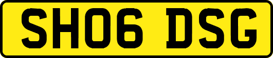 SH06DSG