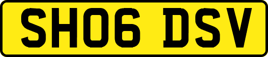 SH06DSV