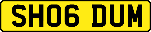 SH06DUM
