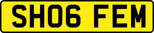 SH06FEM