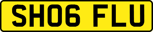 SH06FLU