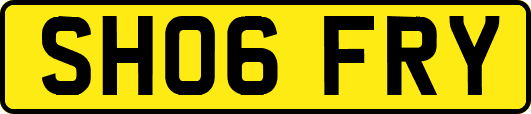 SH06FRY