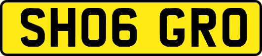 SH06GRO