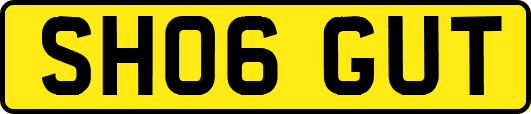 SH06GUT