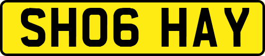 SH06HAY