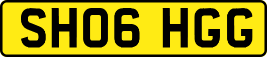 SH06HGG