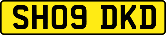 SH09DKD