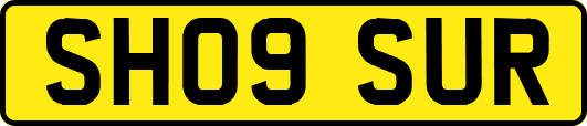 SH09SUR