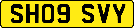 SH09SVY