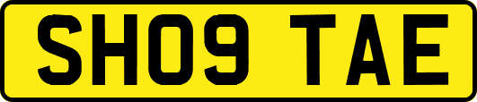SH09TAE