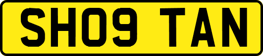 SH09TAN