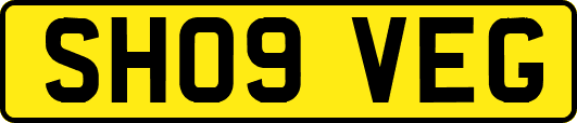 SH09VEG