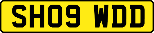 SH09WDD