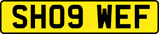 SH09WEF