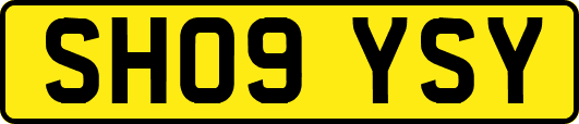SH09YSY