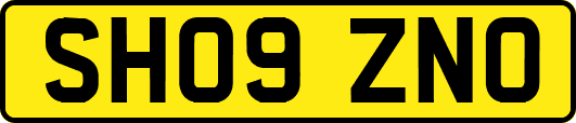 SH09ZNO