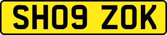 SH09ZOK