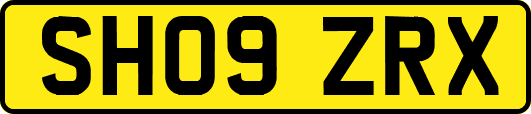 SH09ZRX