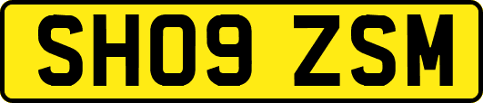 SH09ZSM