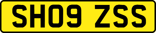 SH09ZSS